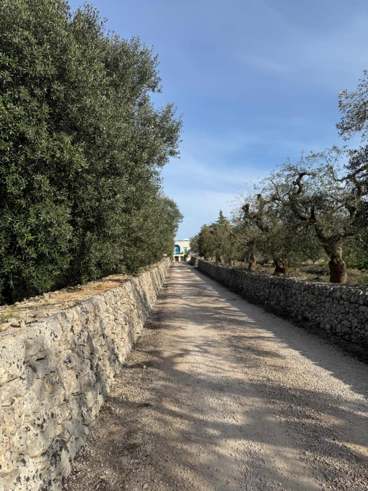 Ma'Bella - Masseria Piccola By Rentbeat Cisternino Extérieur photo